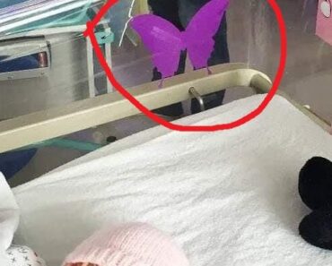 If you see a purple butterfly sticker near a newborn, you need to know what it means.​​ Check the first comment ⤵️