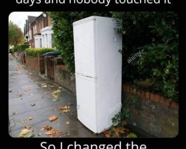 I put this old fridge outside with a sign saying free.