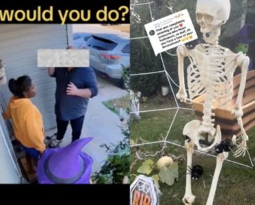 Neighbor’s Amusing Comeback to Halloween Decoration Complaints Becomes a Viral Sensation!