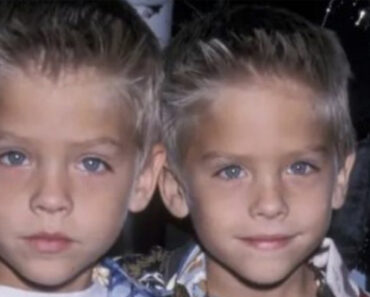 “Once Adored as Kids, These Angelic Twins Disappeared from the Spotlight”: What Are They Up to Now?