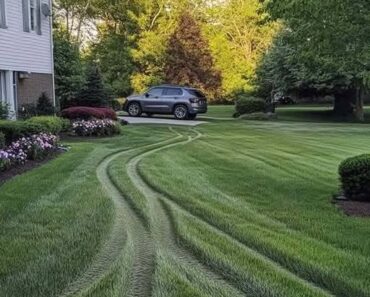 My Neighbor Drove over My Lawn Every Day as a Shortcut to Her Yard